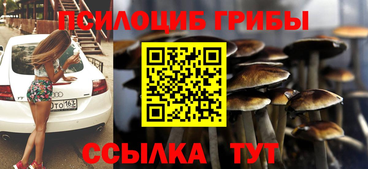 Долгопрудный  Псилоцибиновые грибы Magic Shrooms  цена   Галлюциногенные грибы Psilocybe  Вход с VPN 